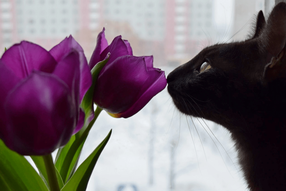 Новшества марта 2024 6.png