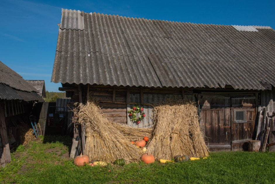 Парень ищет жену в деревне 12.jpg