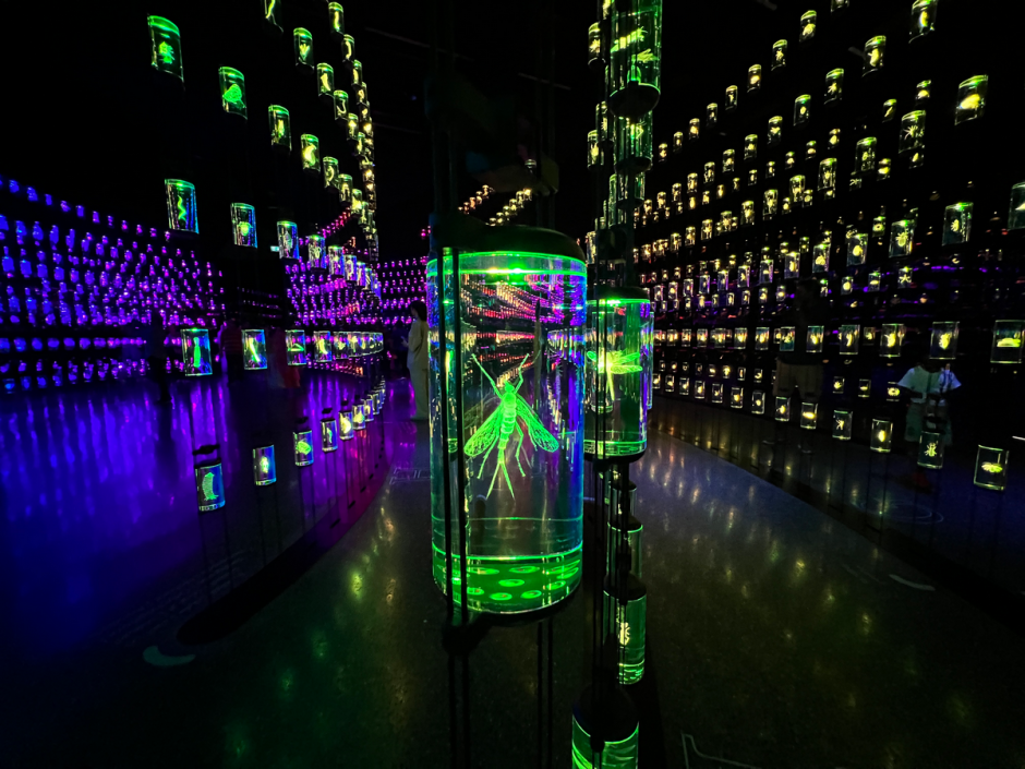 новинки дубаи00013.png