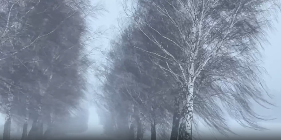 снежный шторм в Беларуси