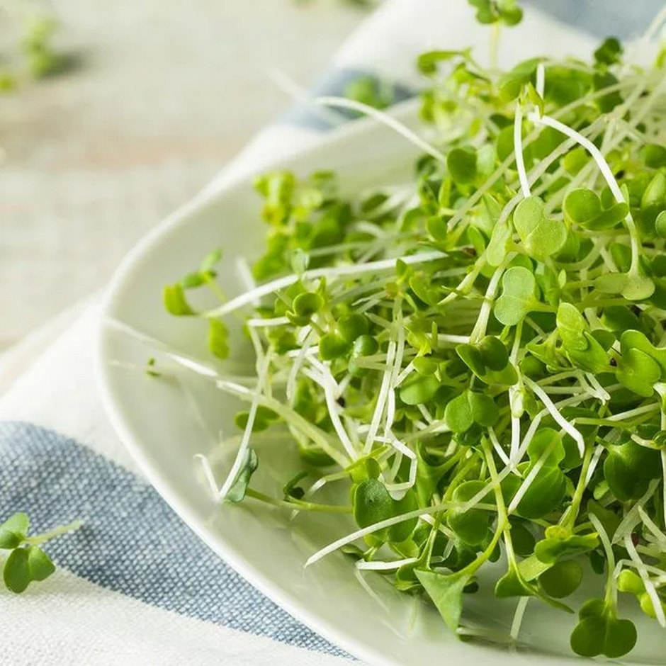 Микрозелень на подоконнике 2.jpeg