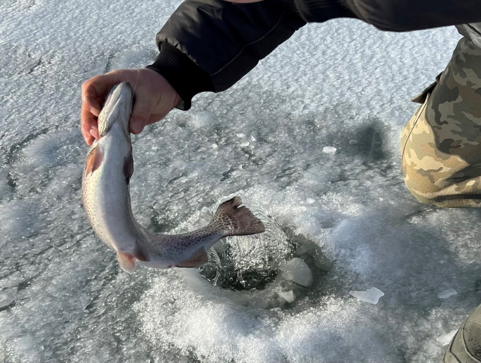 Экопарк Акварель 21.jpg