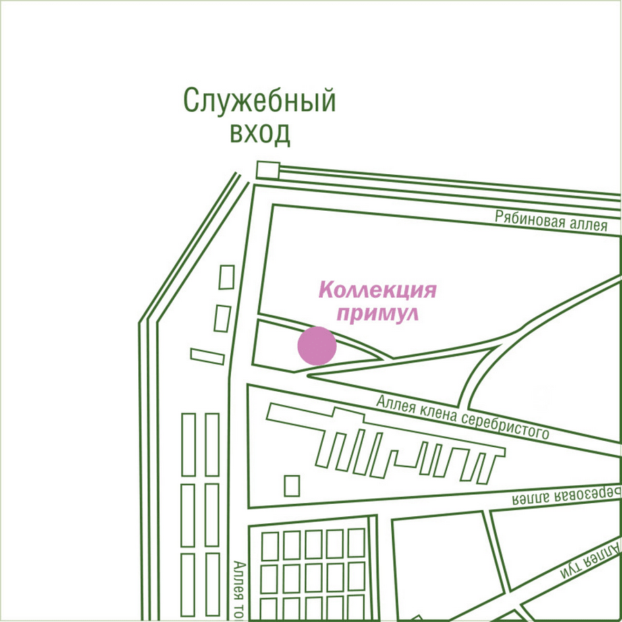 Прогулка по Ботаническому саду 30-1.png