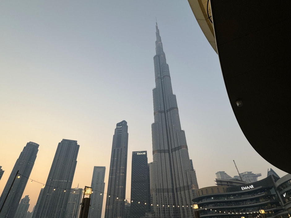 Дубай_DSF2024_33.jpeg