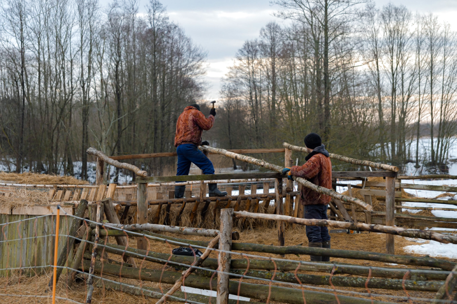 Фермер хутор Ёдишки 20.png