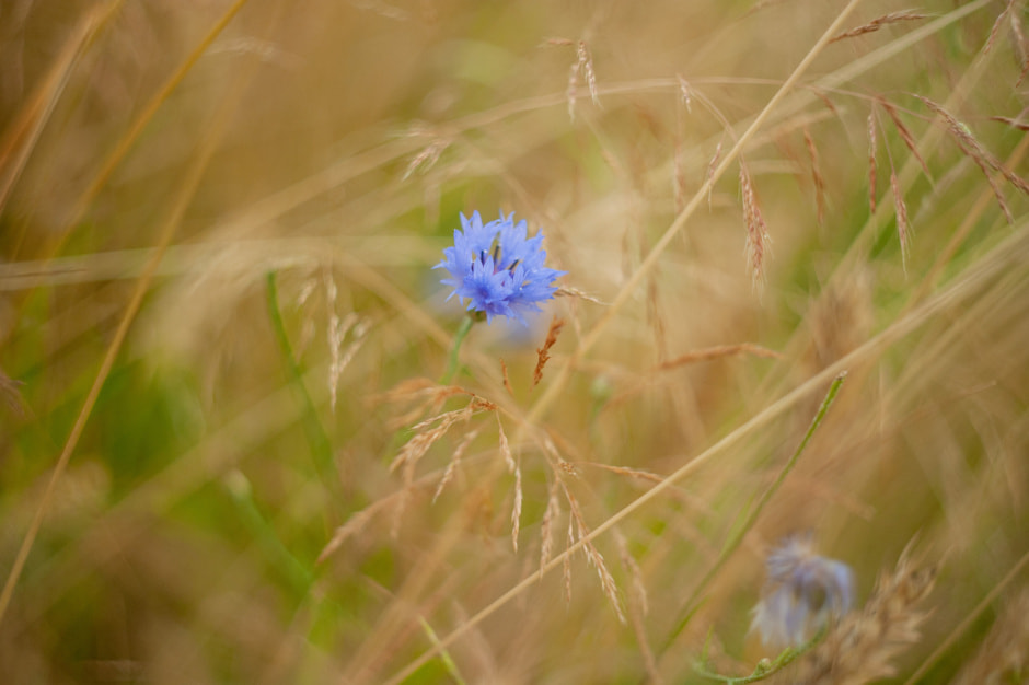 Чем порадует белорусов последний день июля Прогноз погоды на среду.jpg
