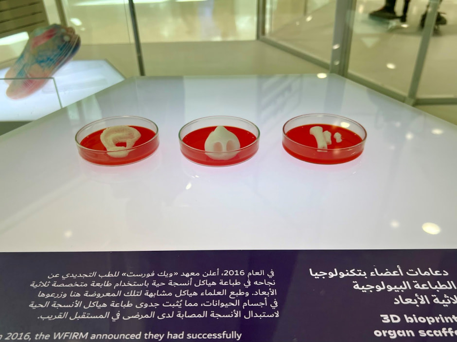 Куда пойти в Дубае с детьми 16.jpg