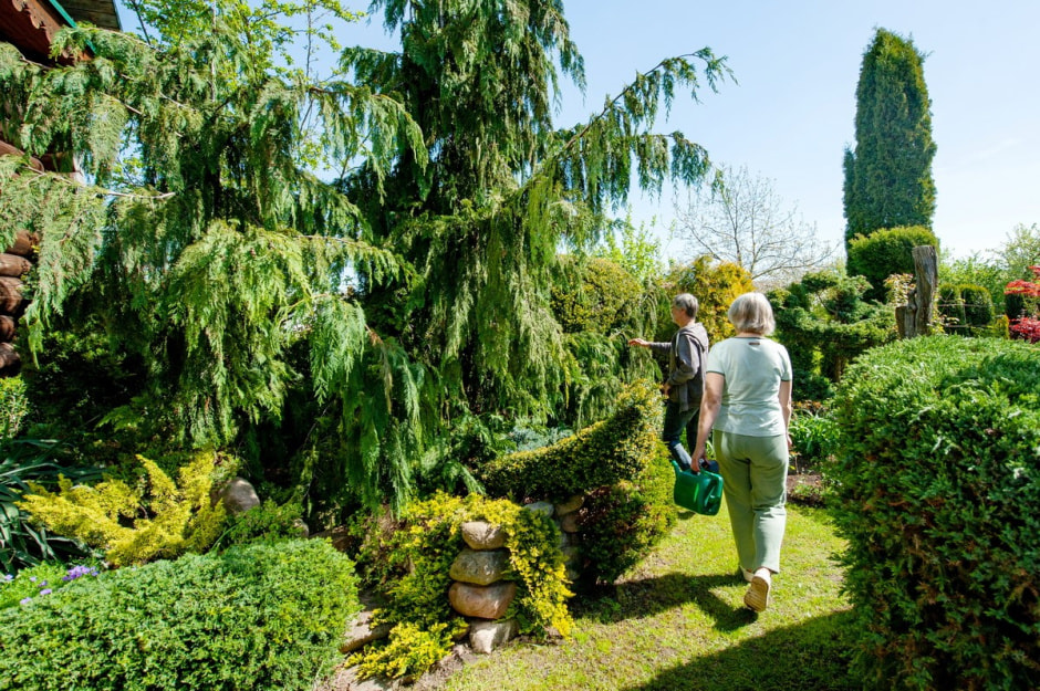 Семья Шокало и экзотический сад 6.jpg