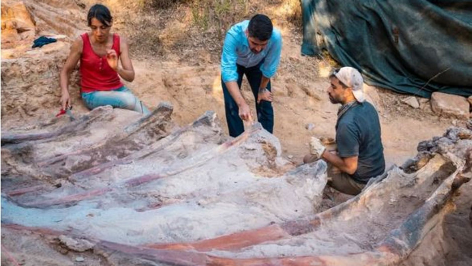 skynews-dinosaur-skeleton-portugal_5876364.jpg skynews-dinosaur-skeleton-portugal_5876364.jpg