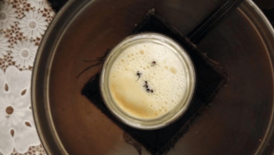 муравьиный йогурт