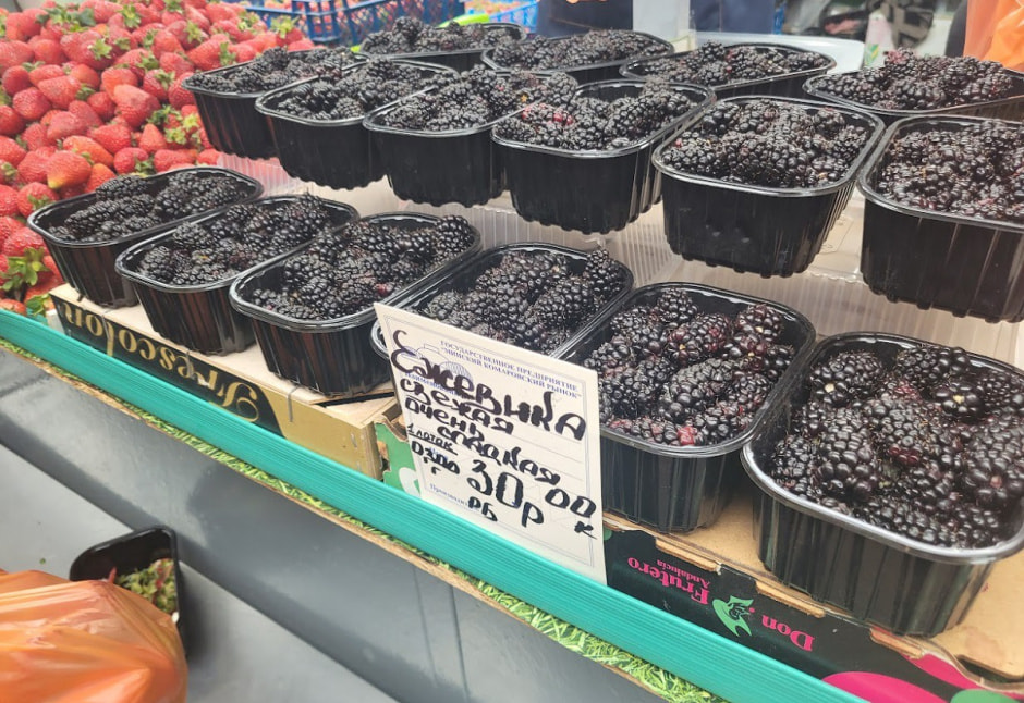 ежевика по 30