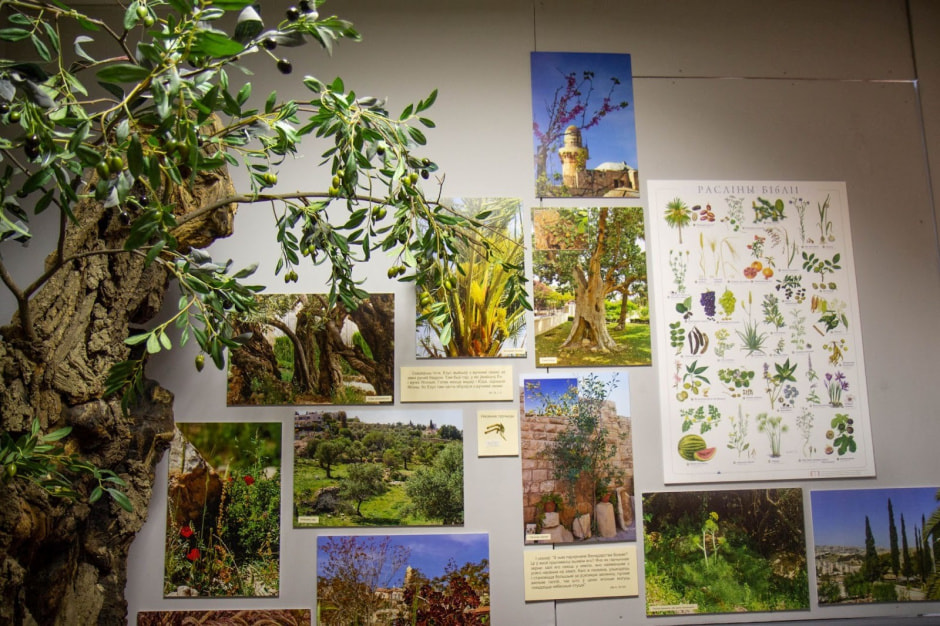 Музей Бібліі ў Баранавічах 19.jpg