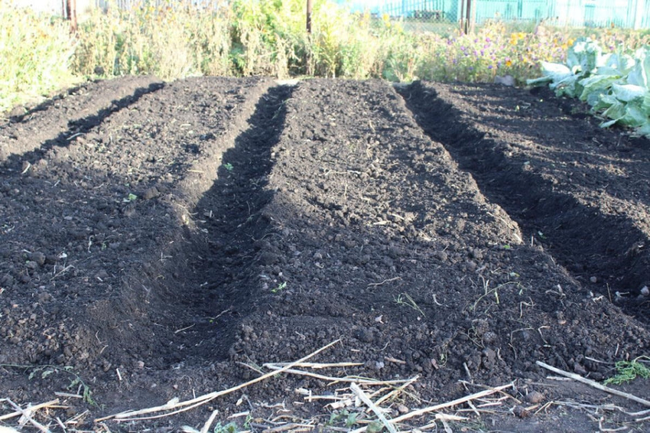Что делать с грядками после окончания дачного сезона 1.jpg