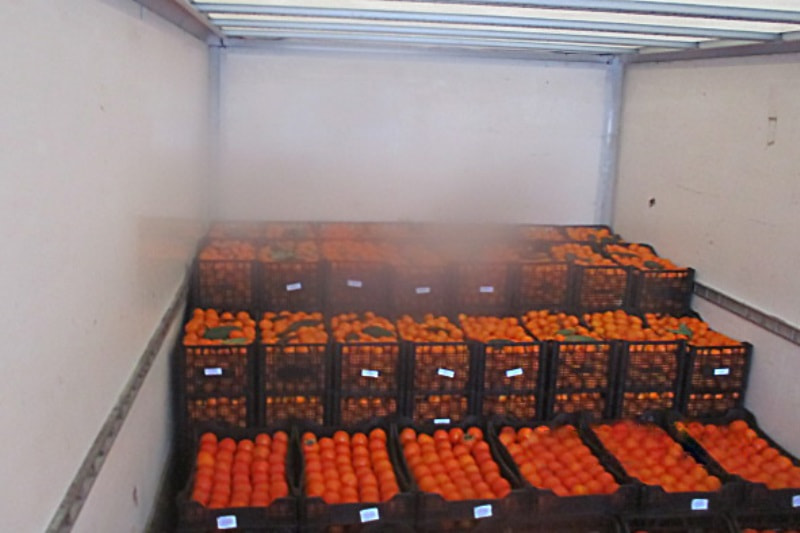 хурма и манарины.jpg