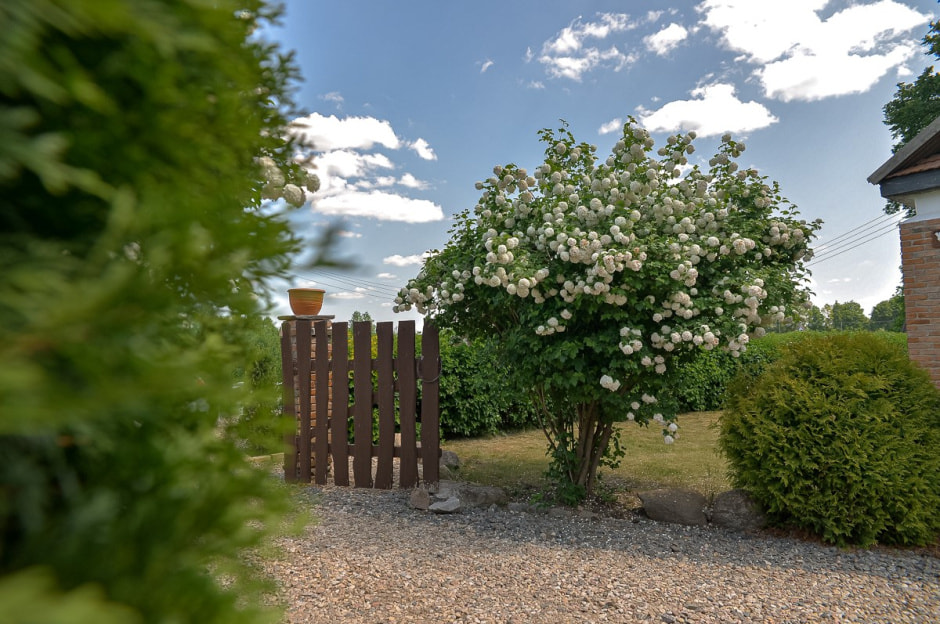 Гончар Сергей Нагаев 32.jpg Гончар Сергей Нагаев 32.jpg