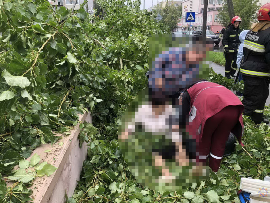 Сильный ветер 4.jpg