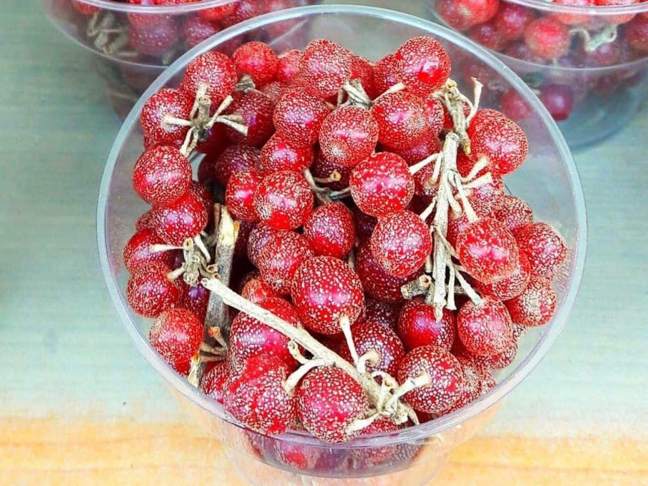 Экзоты на белорусской даче 7_шефердия.jpg