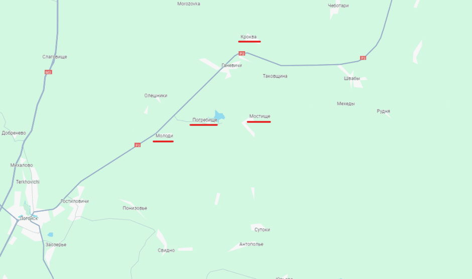 деревня грибы.png