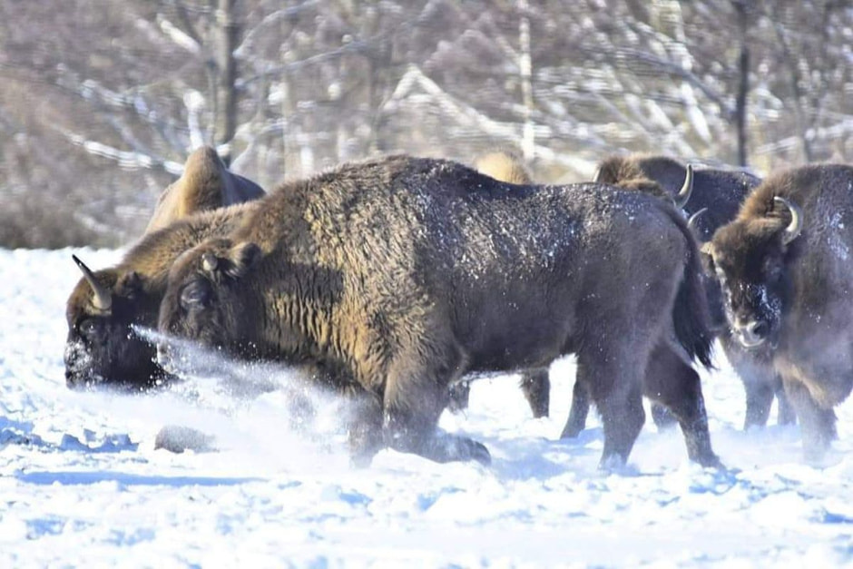 Фотограф-врач Инна Субботина 13.jpeg