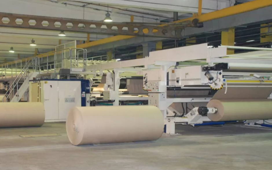 В Беларуси хотят построить еще один целлюлозно-картонный комбинат — на базе китайских технологий.png