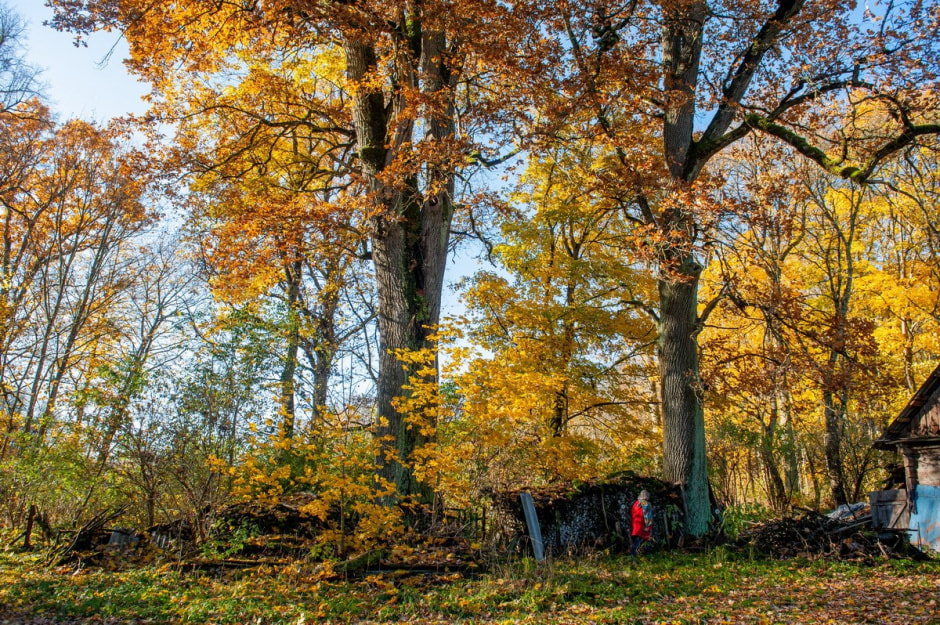 Солдатовы и усадьба Дуниных-Раецких 11.jpg