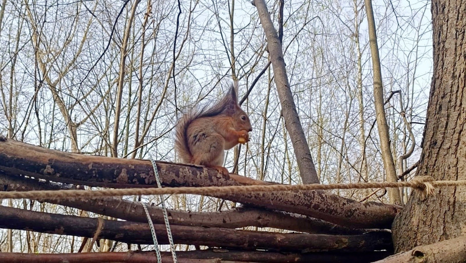 Топ-5 экотроп Минска 20_Севастопольская.jpg Топ-5 экотроп Минска 20_Севастопольская.jpg