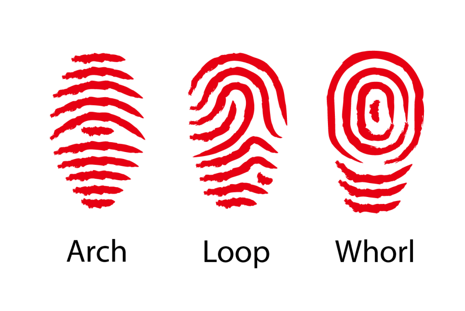 отпечатки пальцев