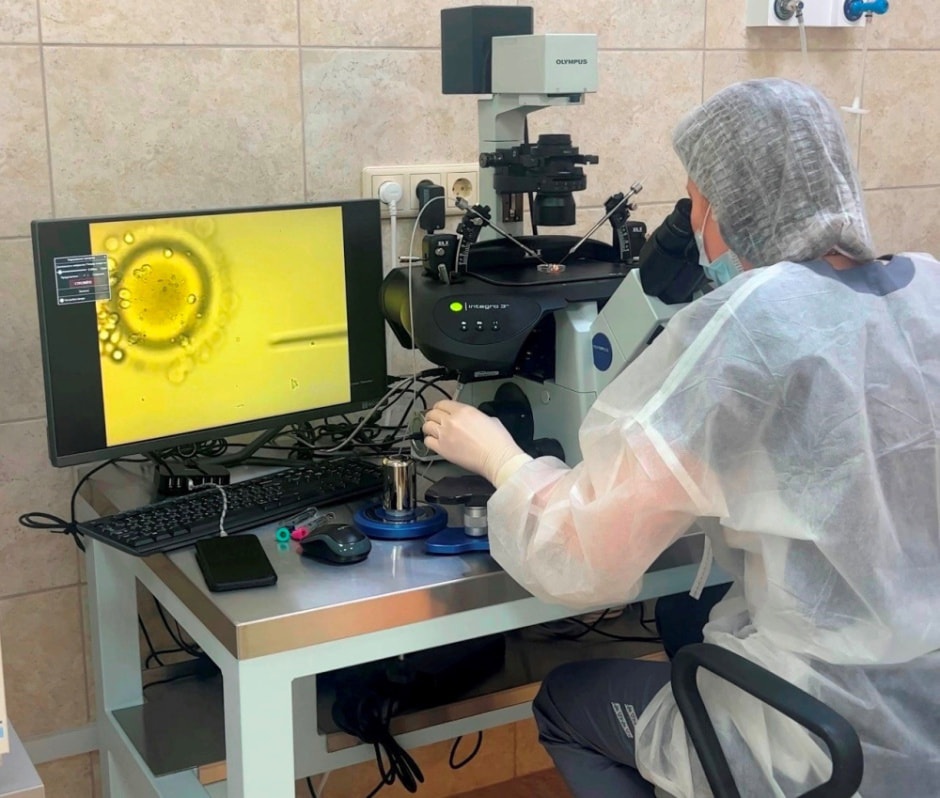 Заморозка яйцеклеток и спермы в Беларуси 3.jpg