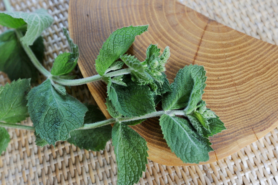Польза мяты 1.JPG