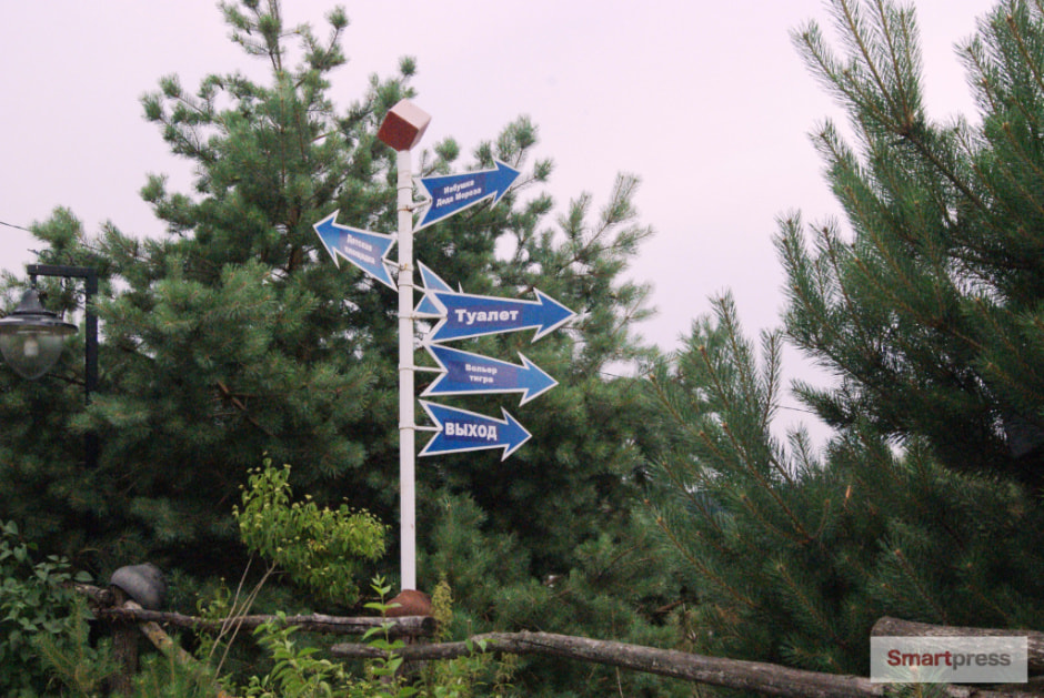 DSC07118.jpg DSC07118.jpg