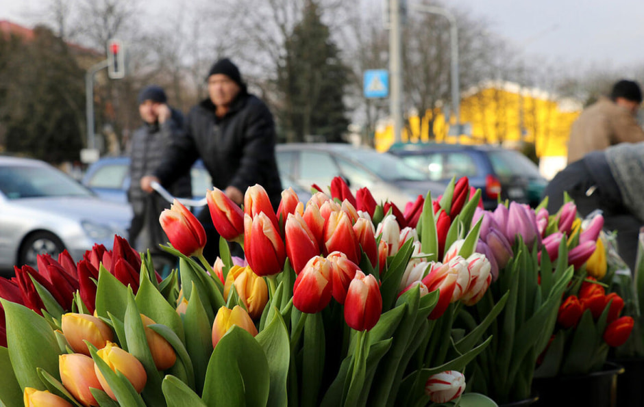 тюльпаны на 8 Марта