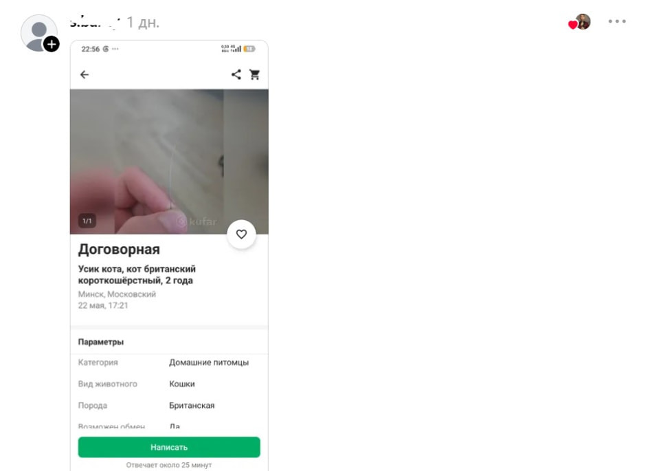 Копченое рыло, трусики б/у и усик кота: белорусы показали странные объявления с барахолок