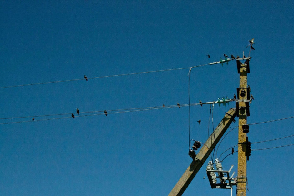 Наблюдаем за сусликами 30.jpg