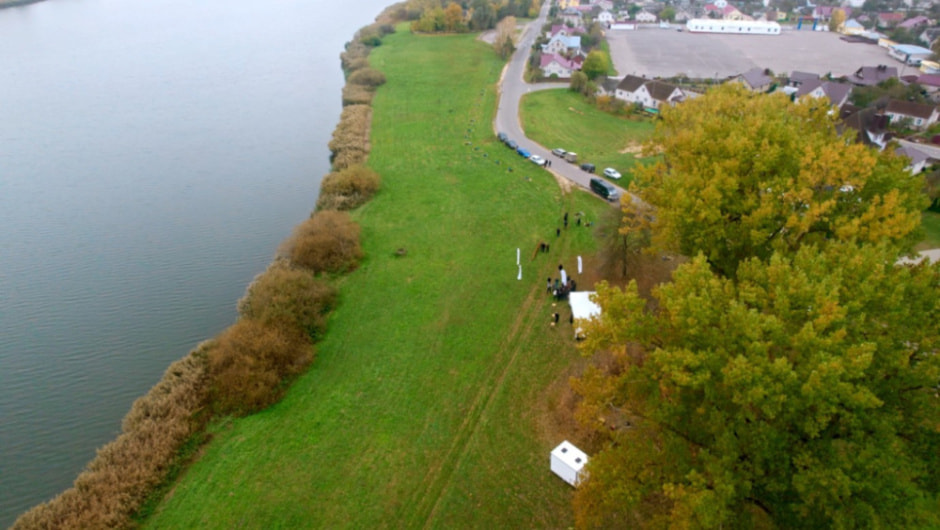 Территория Несвижского замка пополнилась двумя новыми аллеями на 200 деревьев (2).jpg