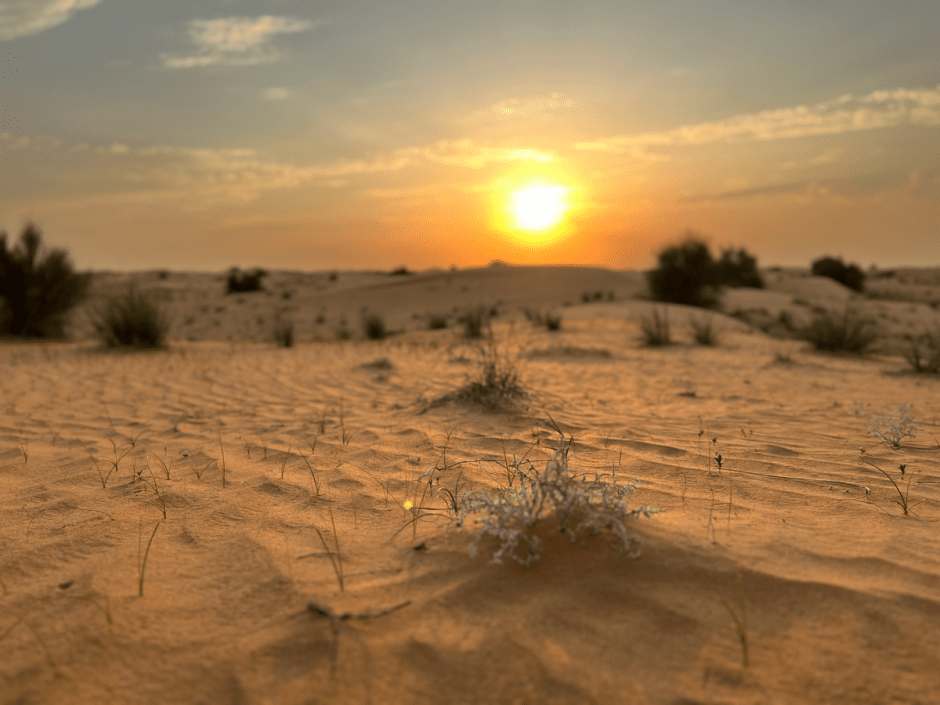 новинки дубаи00019.png новинки дубаи00019.png