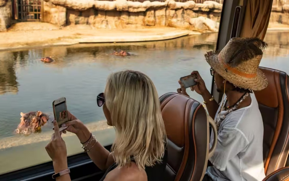 Сафари .jpg Сафари .jpg