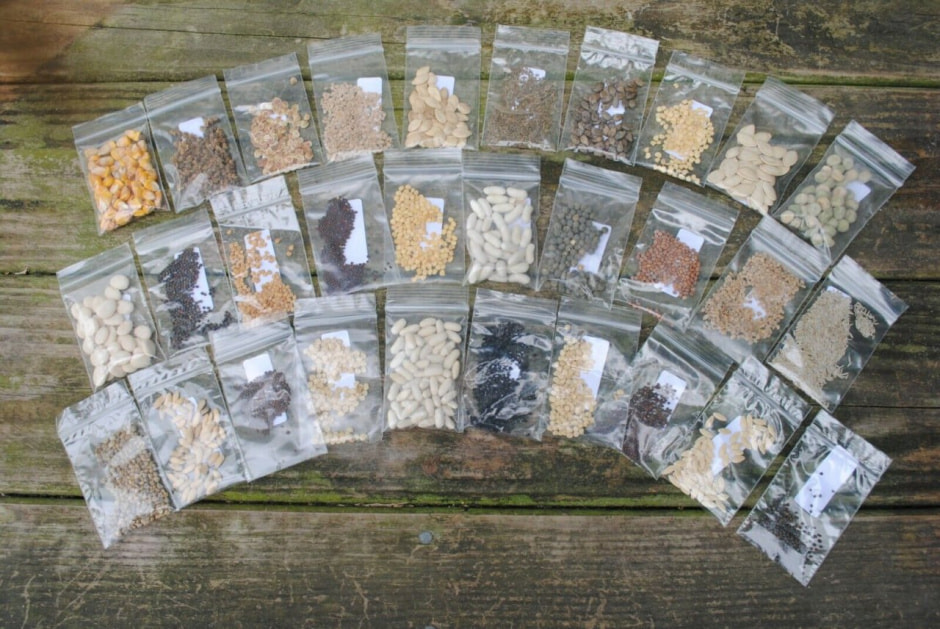 семена1.jpg семена1.jpg