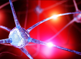 Ученые обнаружили скрытое вещество в мозге, которое может усиливать тревожность