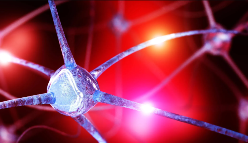 тревожные расстройства тревожные расстройства