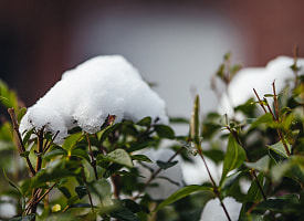 «Сформируется временный снежный покров» - что будет с погодой в Беларуси 10 апреля