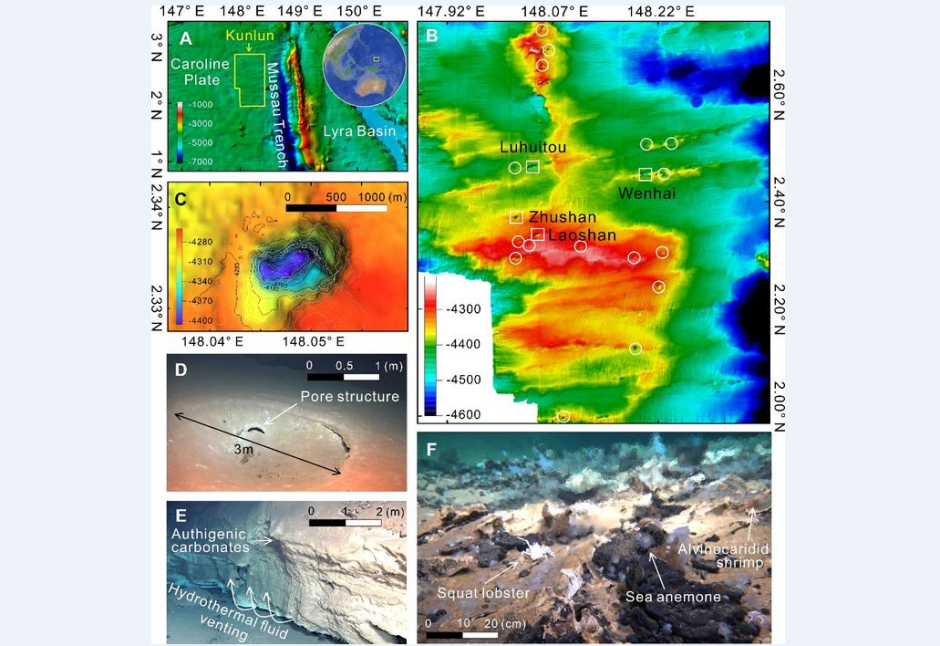 новая жизнь новая жизнь