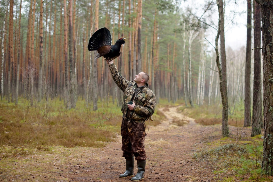 Заказник Выгонощанское 12.jpg