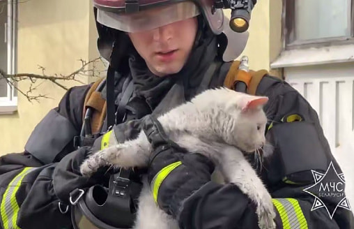 «Из окна кричал о помощи»: в Минске спасли мужчину, женщину и кота