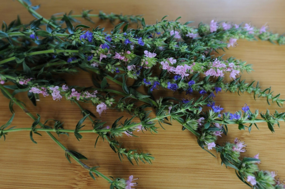 Травяные сборы в Беларуси 12.jpg