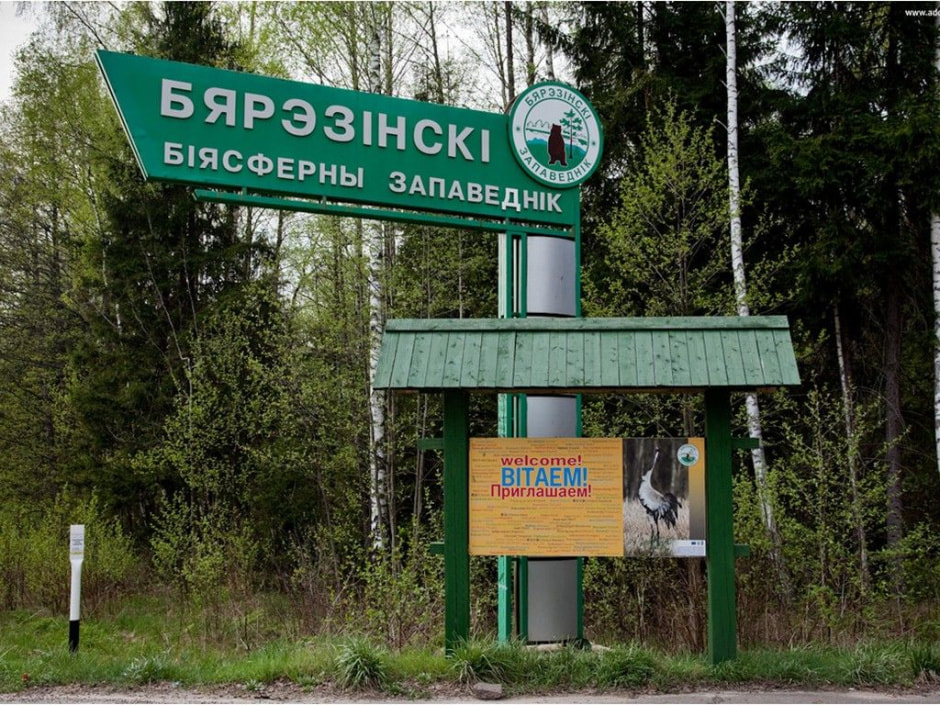 Березинский заповедник 