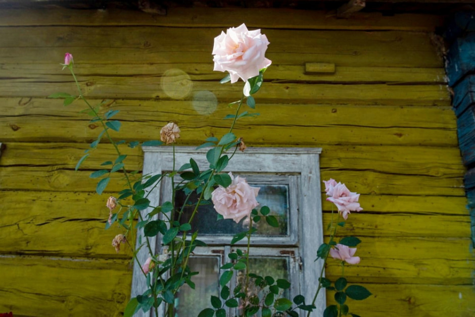 Парень ищет жену в деревне 19.jpg