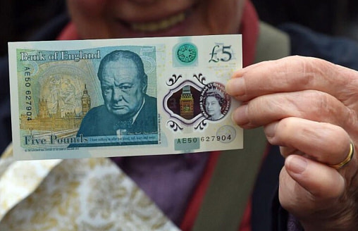 Ежи вместо Черчилля? Банк Англии хочет заменить портреты на банкнотах изображениями животных