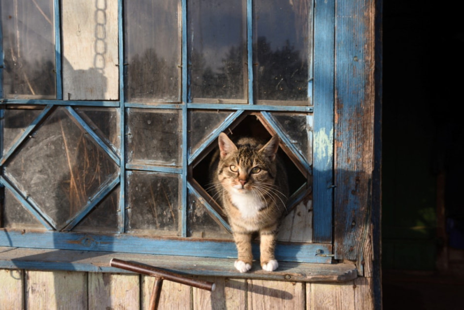 Семья восстановила старые рецепты сыров 4.jpg