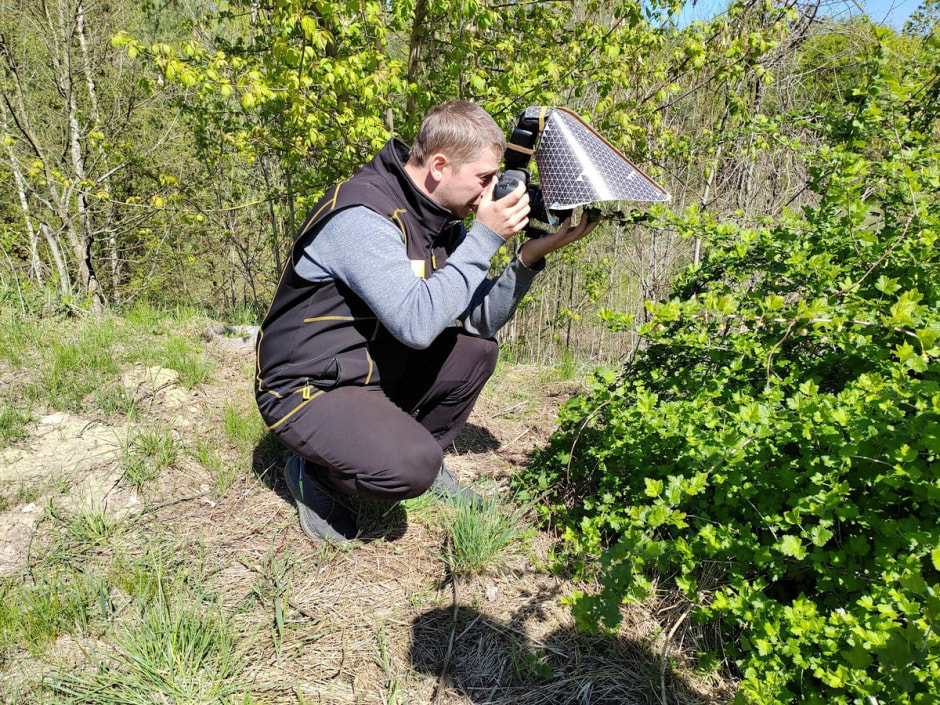 Фотограф насекомых 6.jpg