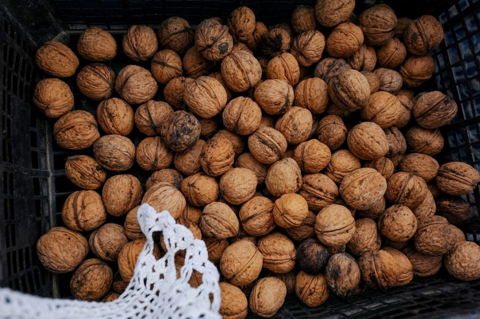 Деревня Ушковица 16.jpg